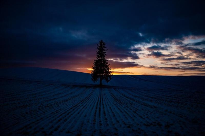 Hotel Biei Shirogane No Yu Exteriér fotografie